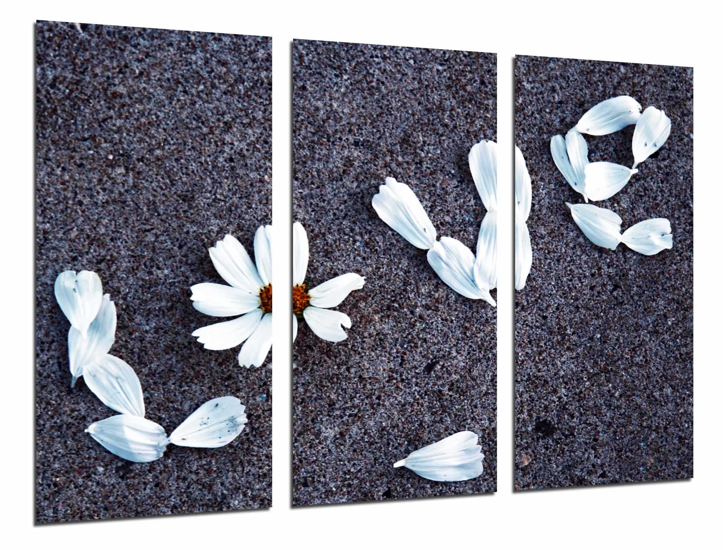 Amor, palabra love, petalos, romantico, impresión fotográfica sobre madera, cuadro moderno decorativo
