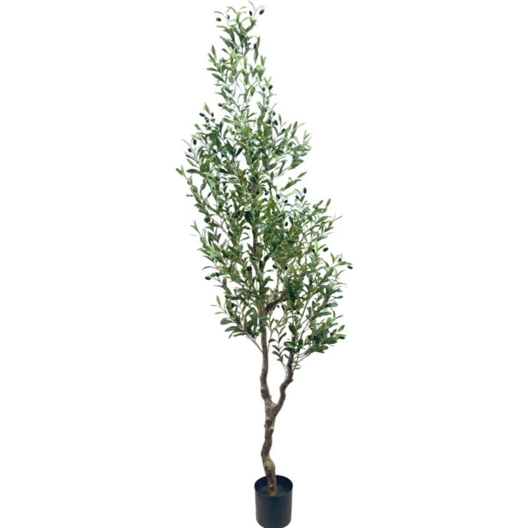 Kactus Republic  Planta Artificial Olivo Mediterráneo 210Cm. Gran Realismo Tronco Retorcido Sin Mantenimiento Con Maceta Decoración Interior Salón Hogar Y Oficina , Leroy Merlin