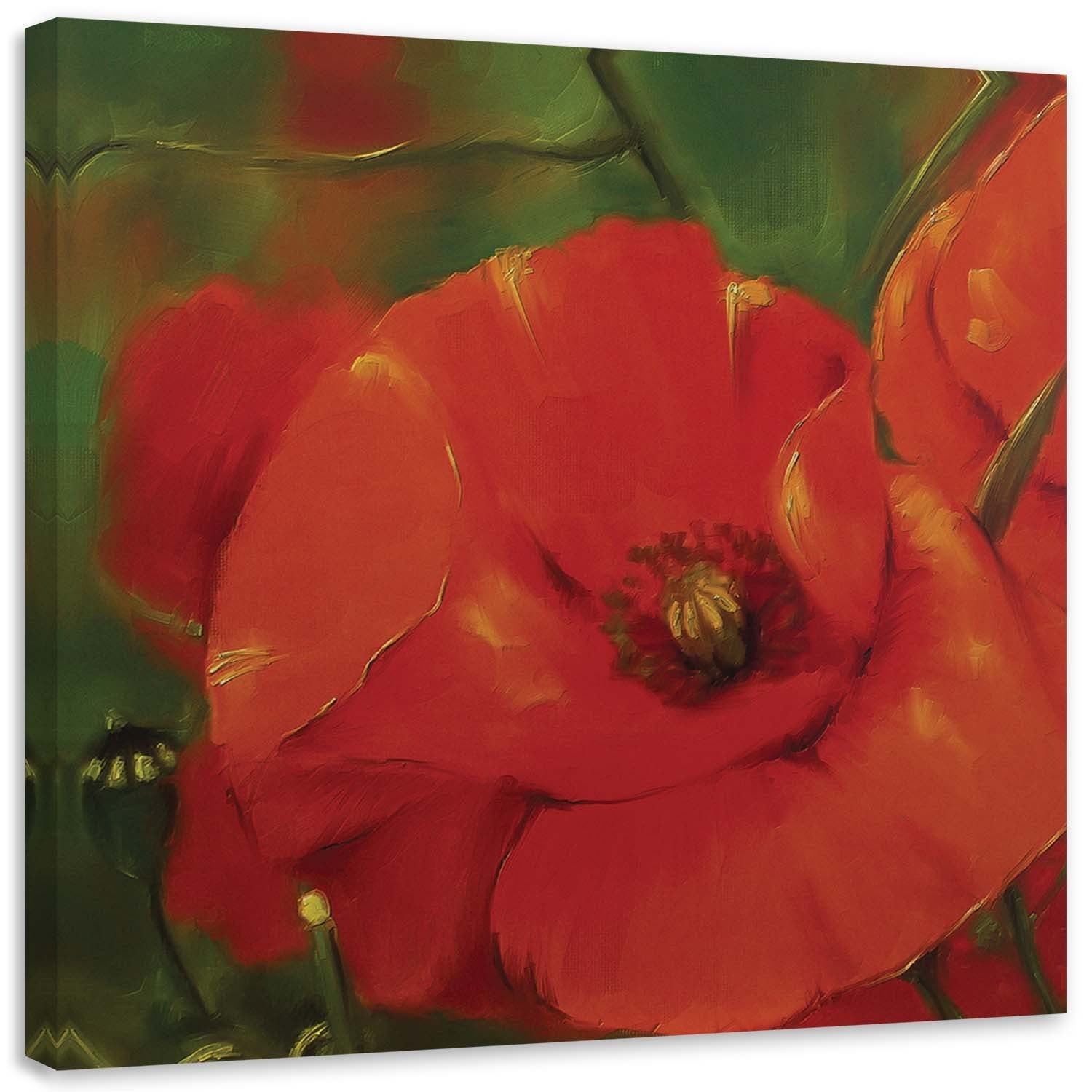 Obraz na płótnie, Czerwony mak na łące 40x40