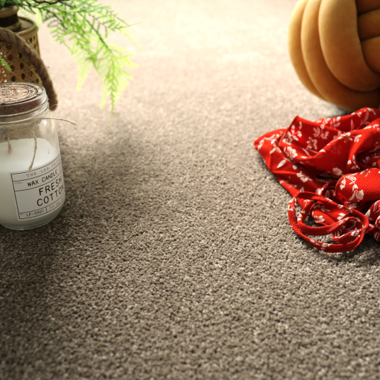 Moquette - Manège - Marron - Rouleau de 4m x 5m - 3