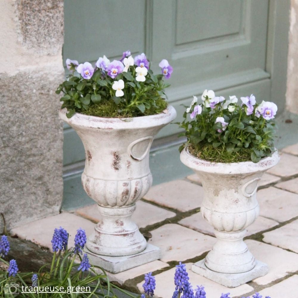 Vase médicis jardin vasque style pierre béton blanc motif vieilli 24cm - 2