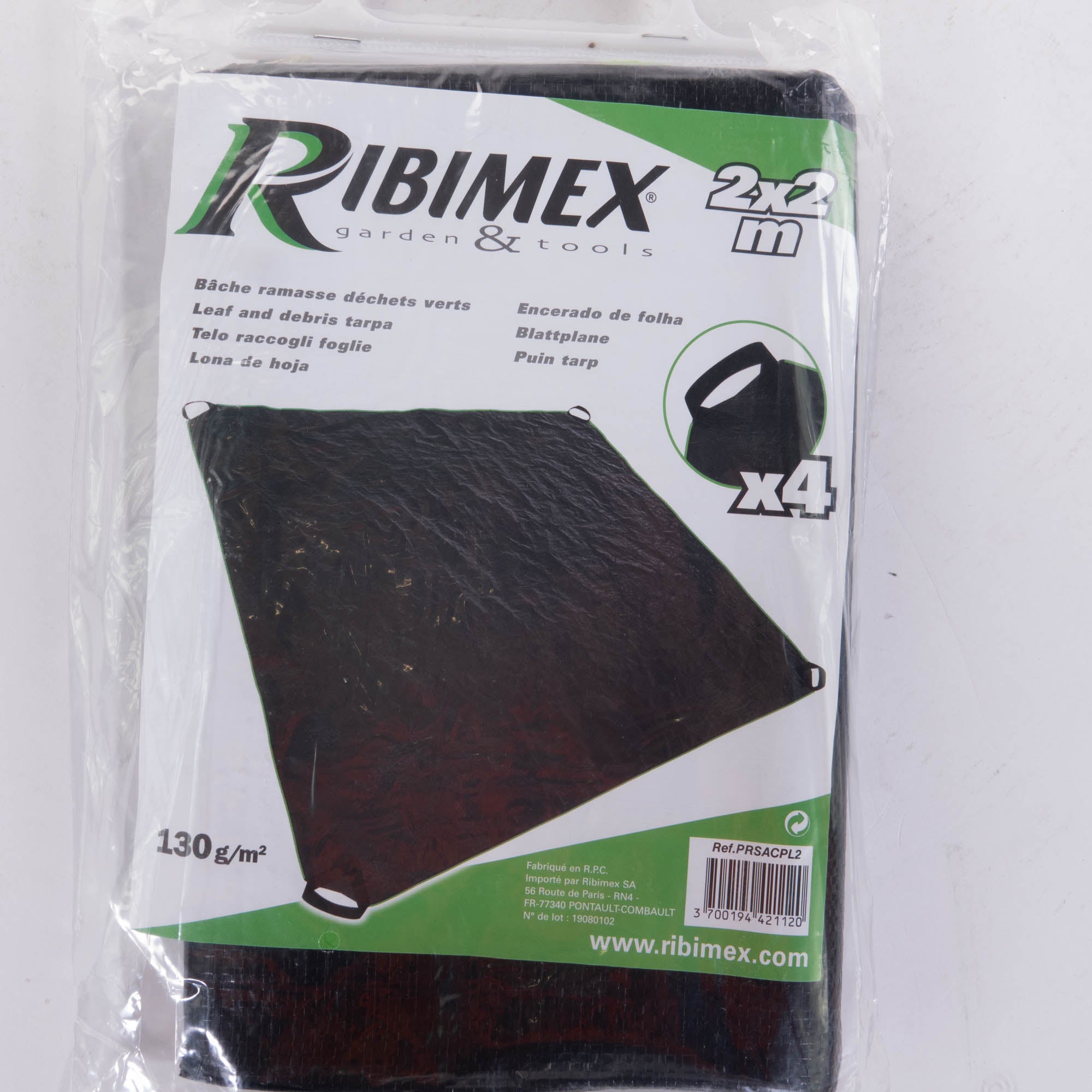 Ribimex RIBIMX - PRSACPL2 - Telone per Raccolta Fogliame - 2m x 2m - 2