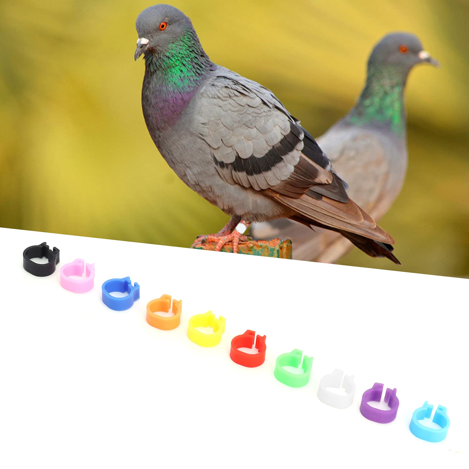 Accessoire Colombophilie 100 Anneaux Pigeon 8mm Bleus Numérotés 001-100 - Bagues Pattes Oiseaux Colombophilie Identification Oiseaux Plastique