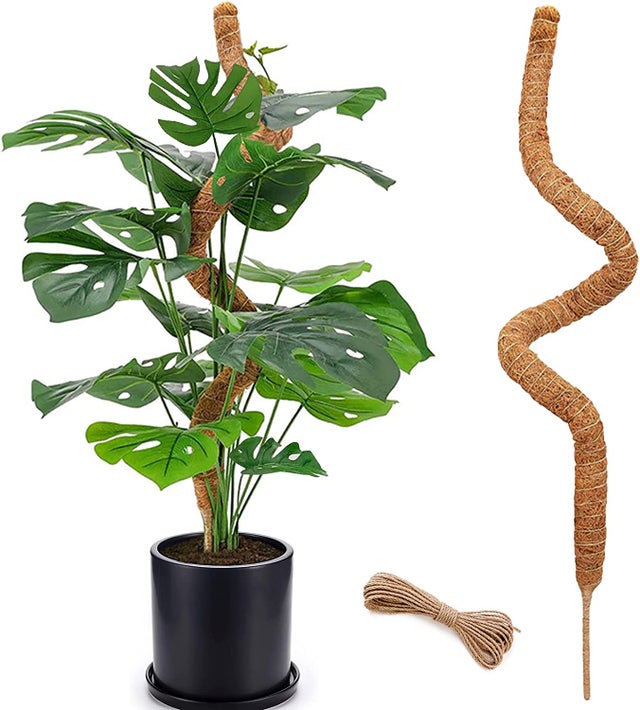 Poteau en mousse pliable de 120 cm pour plantes grimpantes d'intérieur et monstera