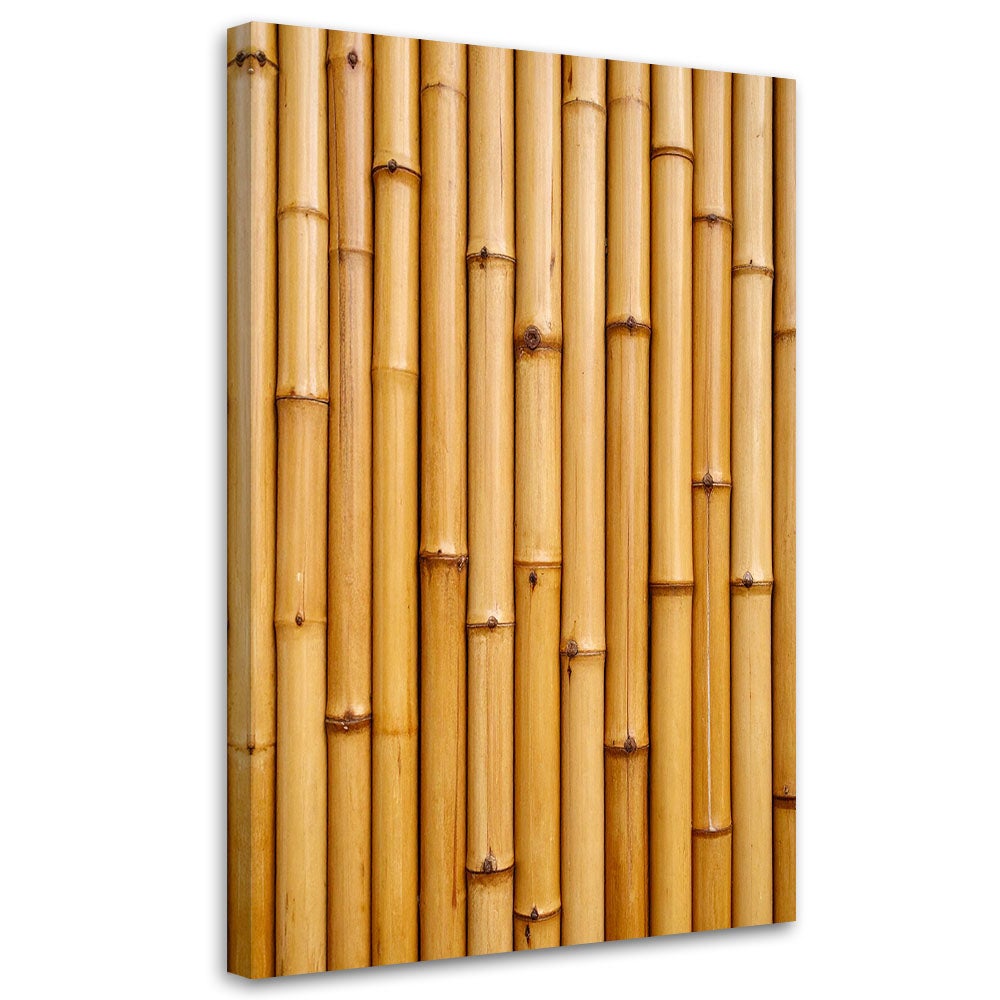Obraz do salonu biura kuchni, Bambus roślina natura 60x90