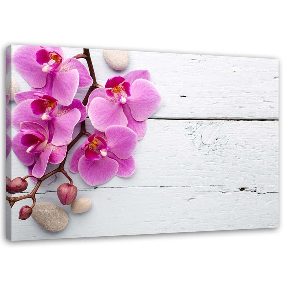 Obraz na płótnie, Różowa orchidea i pąki 90x60
