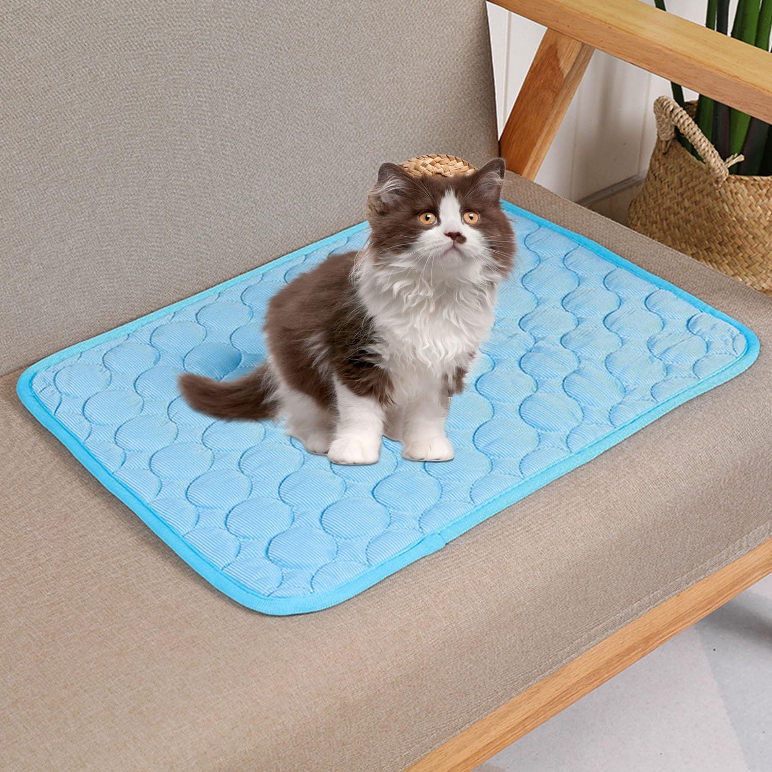 Tapis rafraîchissant pour chien, tapis rafraîchissant pour animaux de compagnie, tapis de glace, pour chats et chiens, 62 x 50 cm, bleu - 7