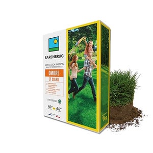 BARENBRUG Semences Rénovateur Gazon Redensifiant 1kg - Germination Rapide, Enrobage Engrais, Fabriqué En France Pour Regarnissage Pelouse