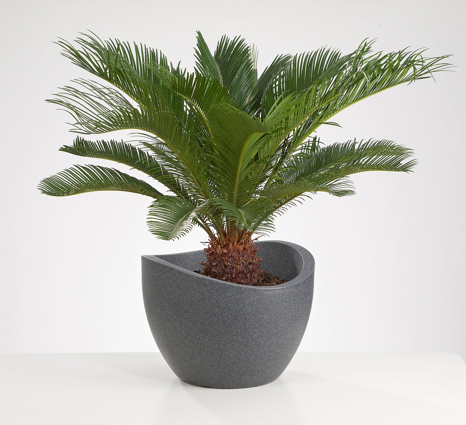 Scheurich Wave Globe 40, pot à fleurs/jardinière, cylindrique, coloris: Granit noir, fabriqué avec du plastique recyclé, pour l’extérieur - 3