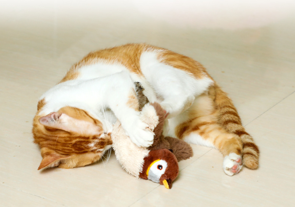 Pájaro volador para gatos: con función de aleteo, adecuado para gatos adultos y gatitos (gatitos que no pueden volar). - 4