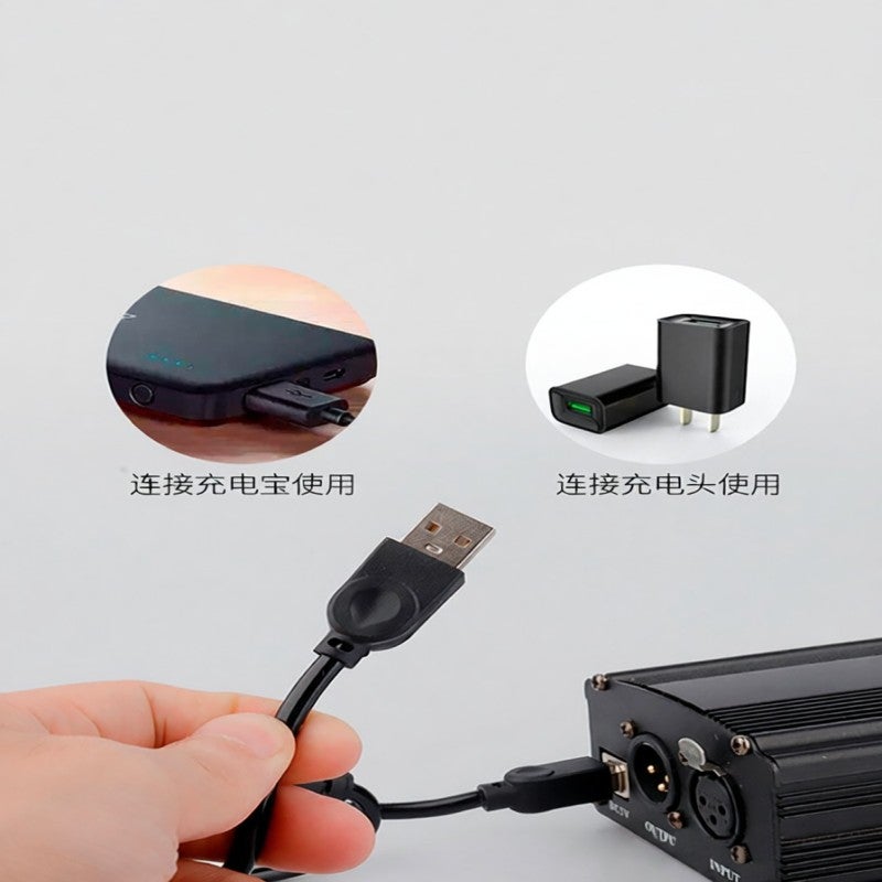 2pcs Alimentation fantôme USB 48V microphone à large diaphragme ...