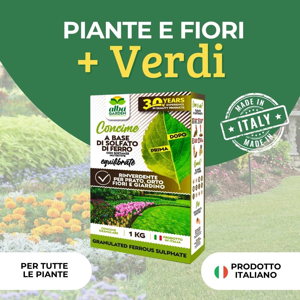 Iron Max Solfato Ferro Granulare 5kg - Rinverdente Prato, Antimuschio, Concime Con Ferro E Zolfo - Foto 12