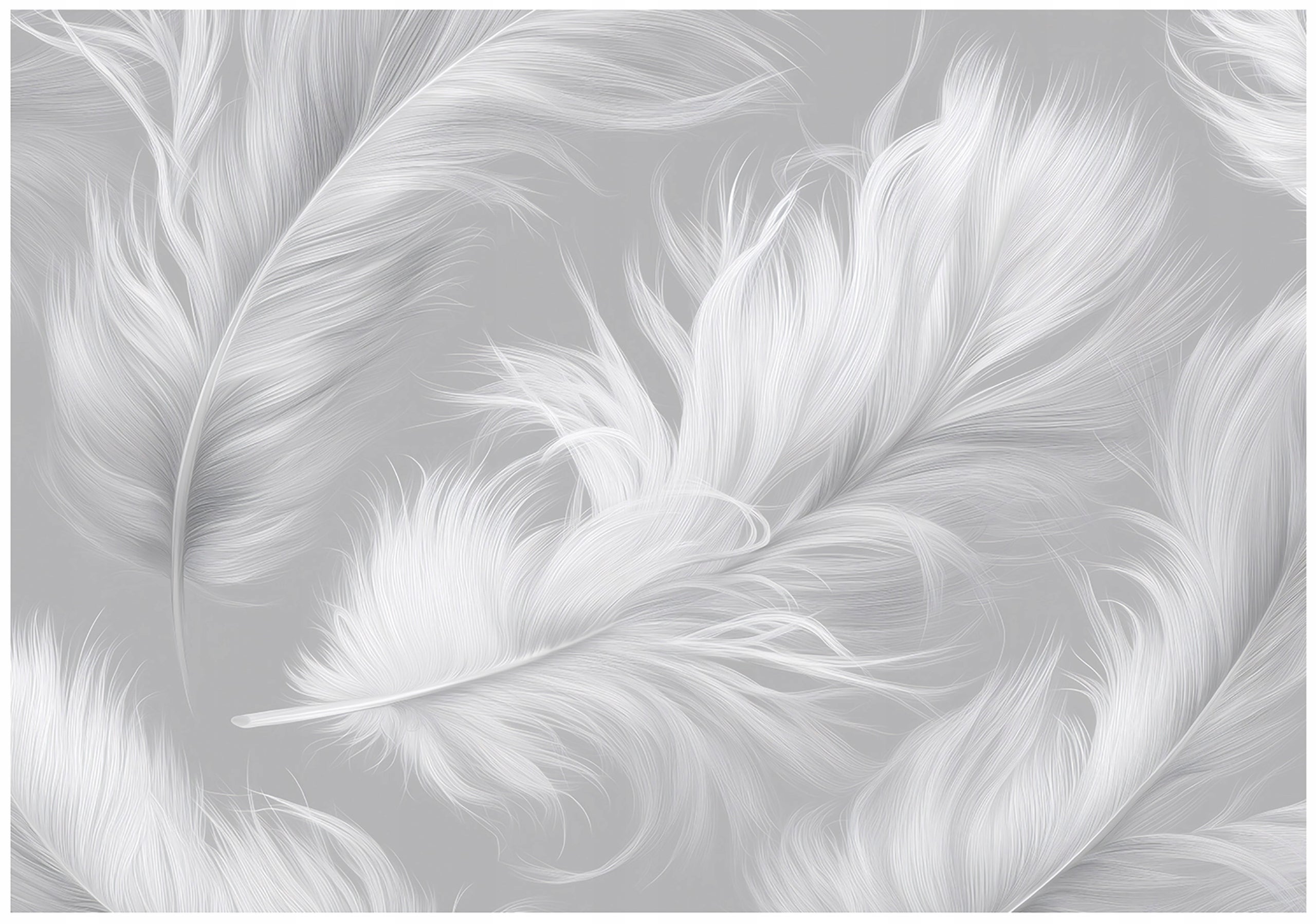 Fototapeta Pióra Abstrakcja Szary 400x280 cm Tapeta Do Sypialni Salonu Kuchni Na Flizelinie