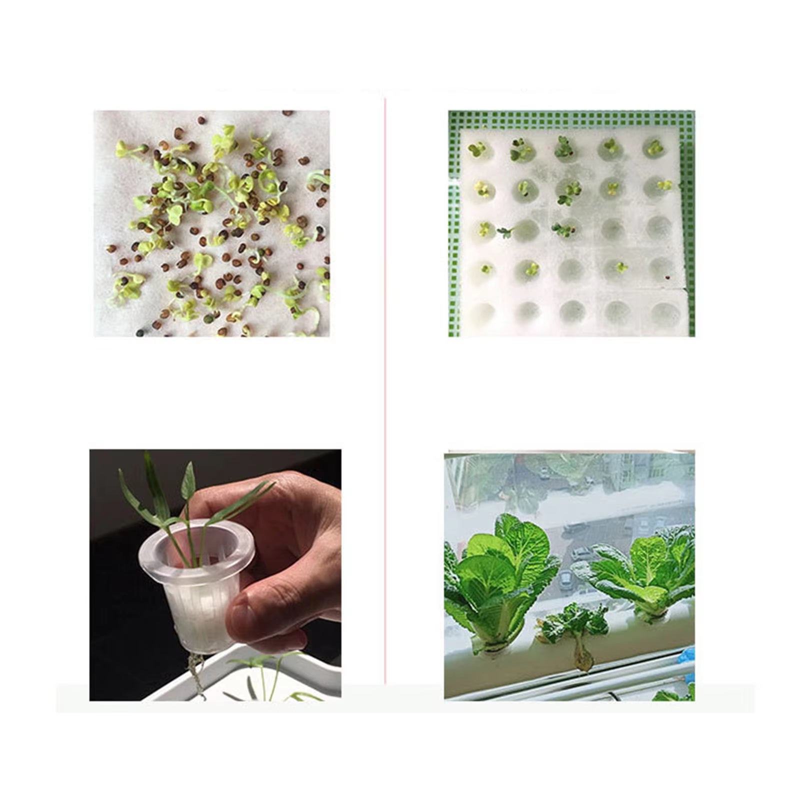 Kit de culture hydroponique hors-sol, 36 trous, 4 tubes, outil pour potager et jardin avec pompe, système de culture hors-sol - 4
