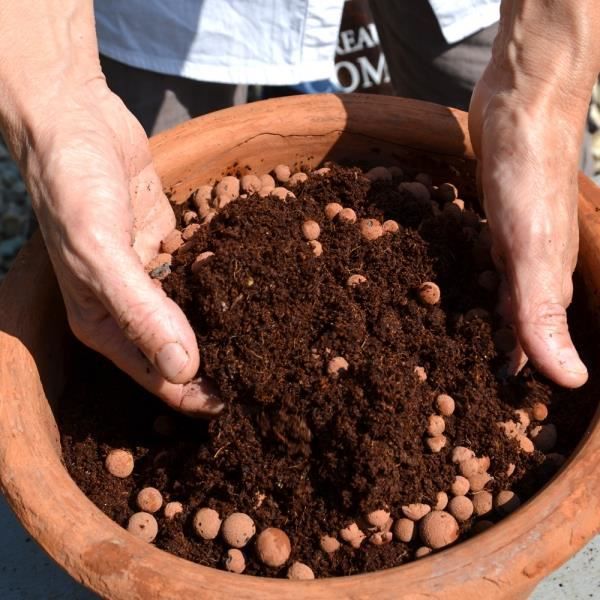 NATUREN Clay Balls - 40L - 8
