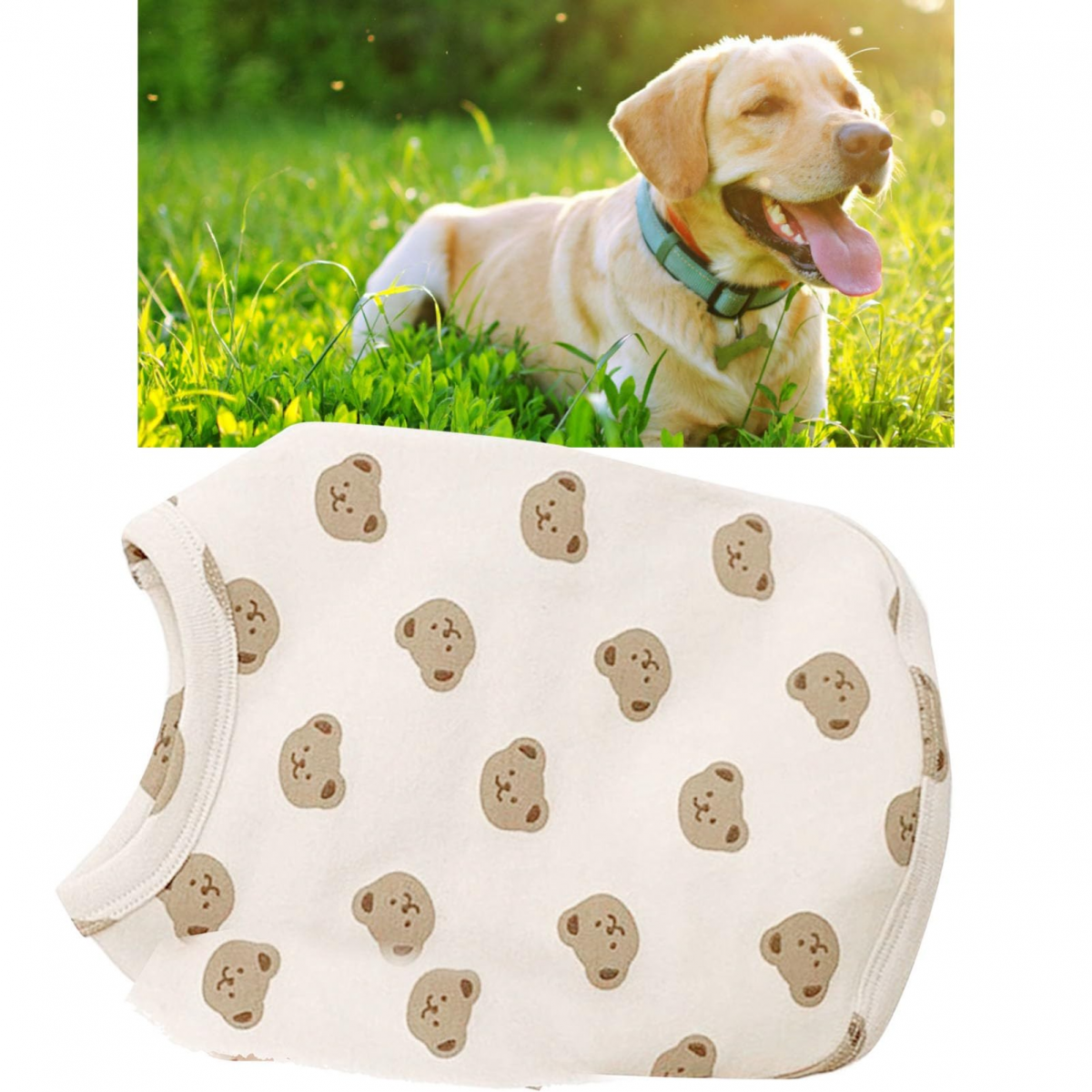 Roupas para cães pequenos confortáveis, quentes e elegantes com estampa fofa para animais de estimação pe - 3