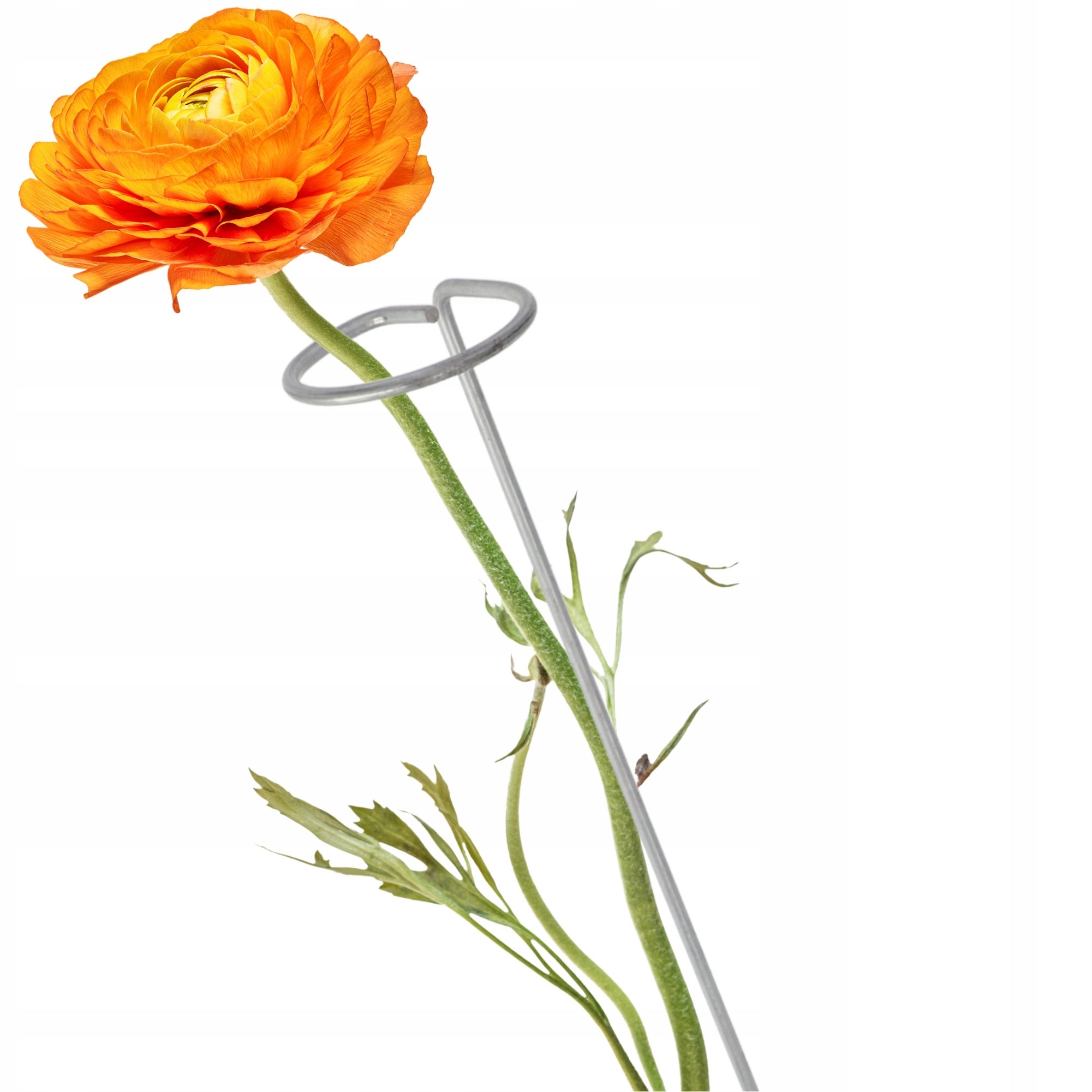 PODPORA DO ROŚLIN KWIATÓW RÓŻ METALOWA OBEJMA NA KWIATY PODPÓRKA 90cm MOCNA