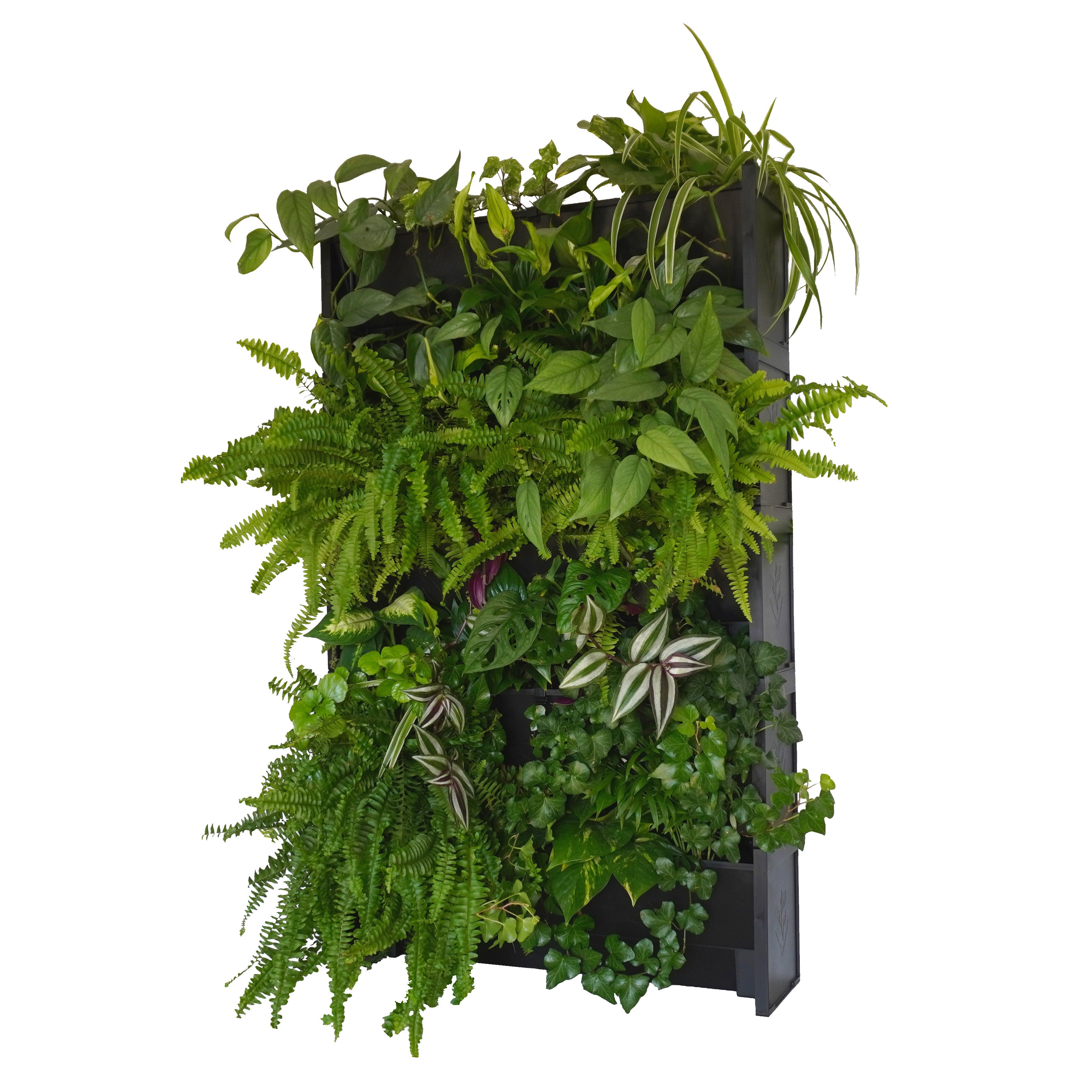 Giardino Verticale EVERTIA, Kit di 5 Vasi per Giardini Verticali Naturali, Orto Urbano, da Interno o Esterno - 2