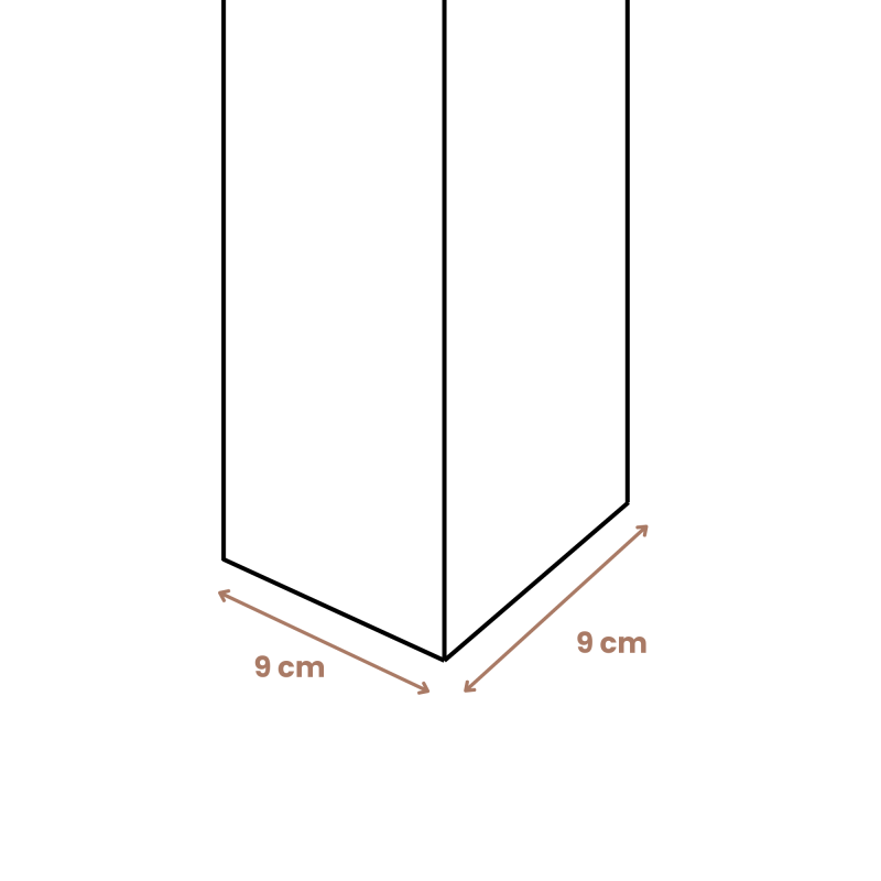 CARPORT BOIS 2 VOITURES 30,9M² 6 POTEAUX 9X9 - 4