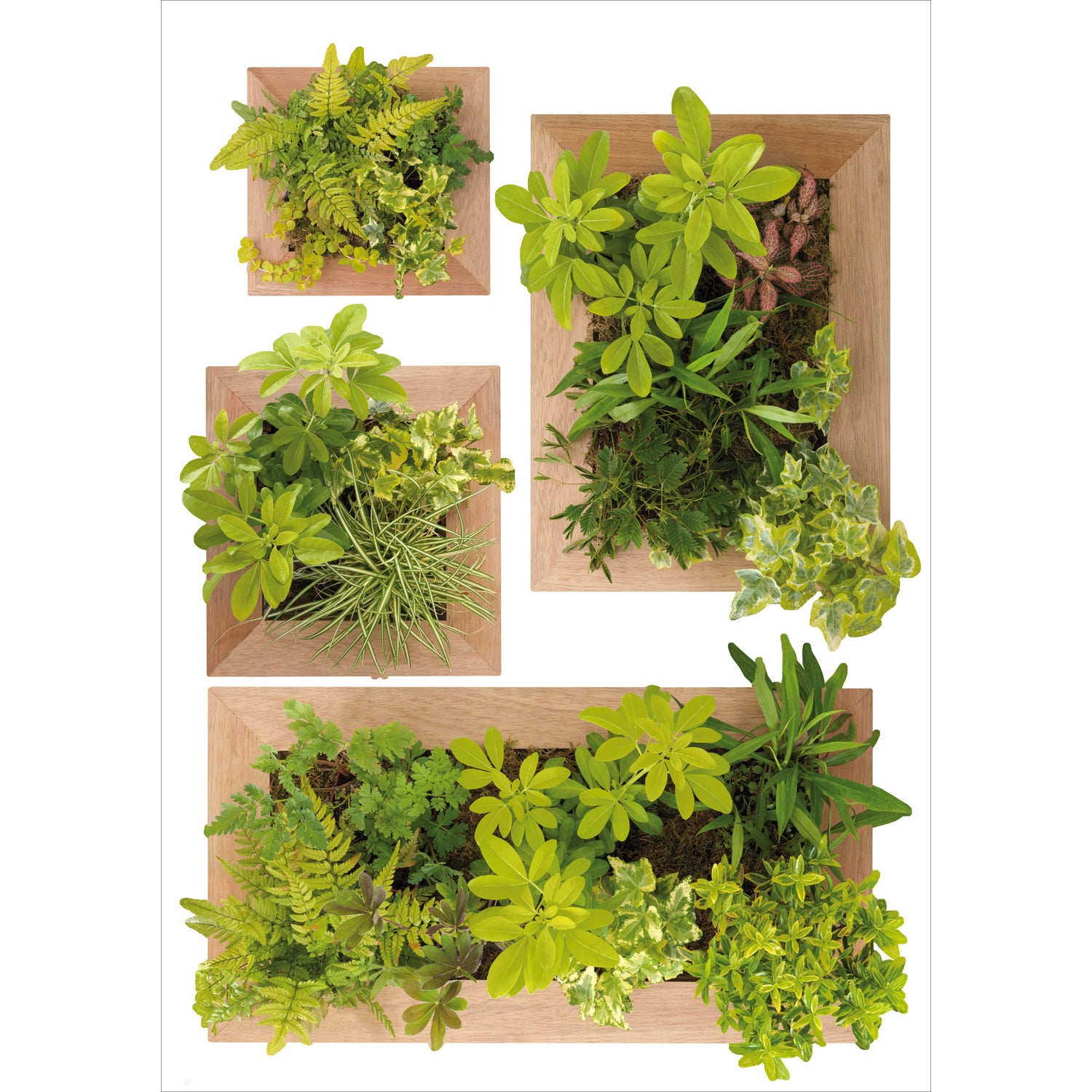 Sticker autocollant décoratif, photo de jardinière en bois mural avec des plantes vertes, 68 cm X 24 cm - 2