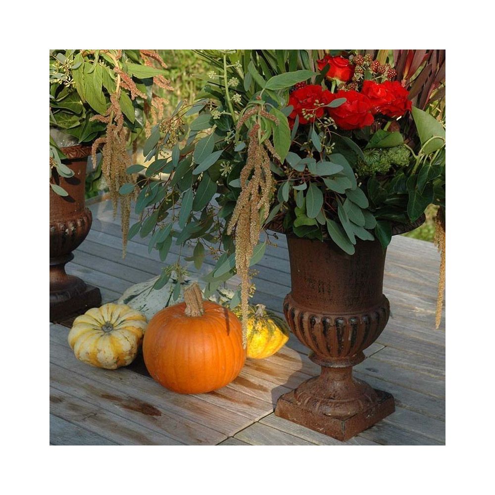 Vase de jardin décoratif français en fonte - 7