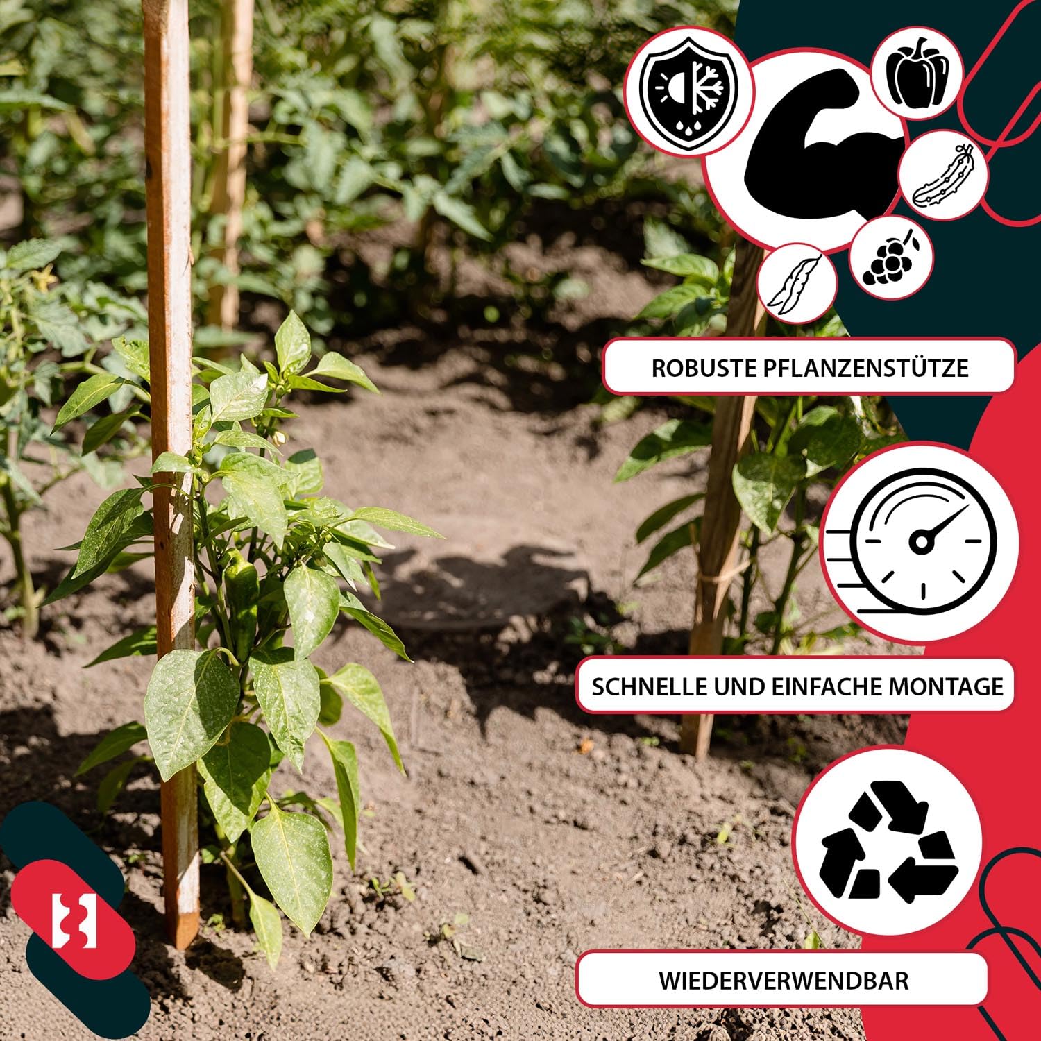 Tuteurs à tomates en bois KOTARBAU® pour potagers, tuteurs pour arbres et arbustes 40 cm, lot de 15 - 8