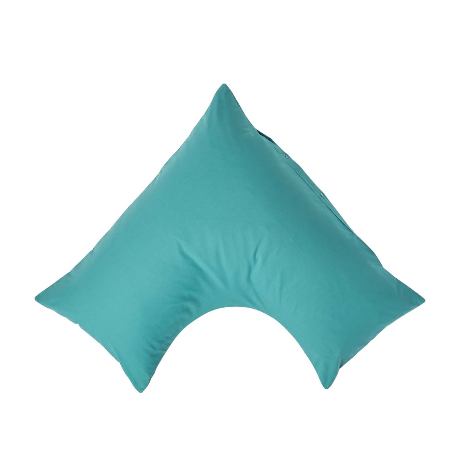 Bleu canard