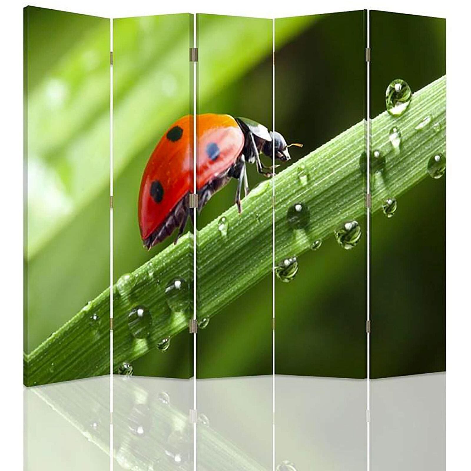 Paravent D coratif Coccinelle Et Ros e Nature 5 Panneaux 180 X 180 Cm paravent-d-coratif-coccinelle-et-ros-e-nature-5-panneaux-180-x-180-cm