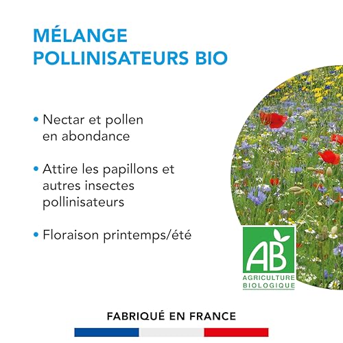 BARENBRUG - Mélange Pollinisateurs - Nectar et Pollen en Abondance - Attire Papillons et Insectes Pollinisateurs - Floraison Printemps/Été - 250G - 2