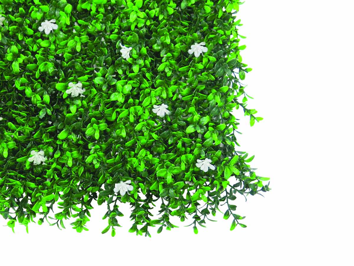 Jardin vertical fleurs de jasmin NORTENE - 1x1m - 4
