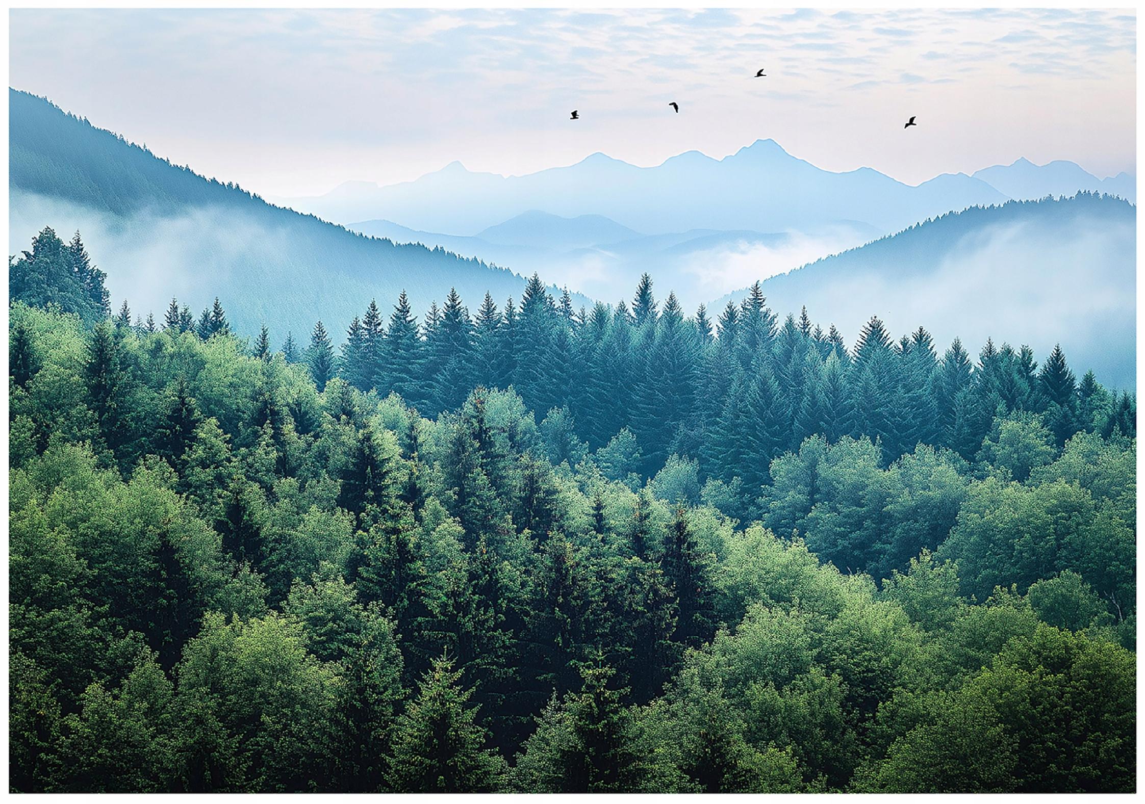 Papier Peint Montagne Vert main image 1