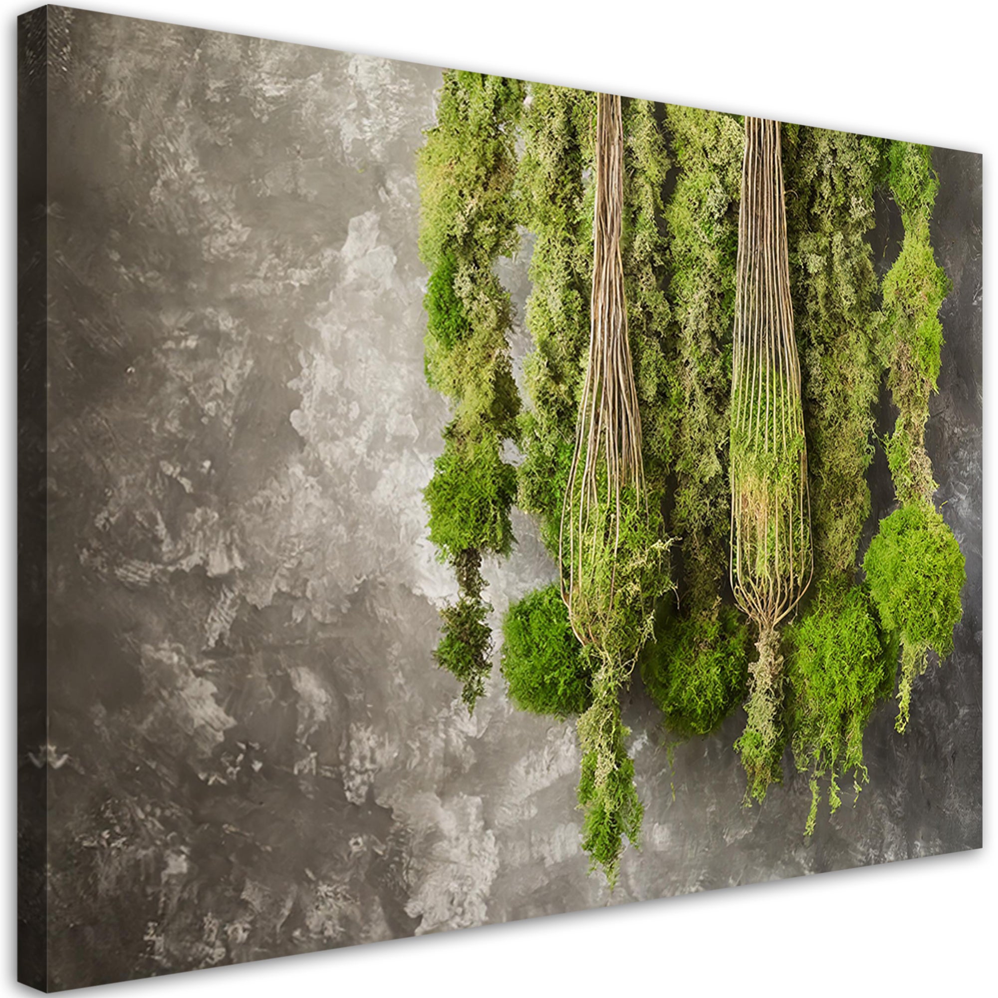 Obraz na płótnie, Mech Roślina Natura 120x80