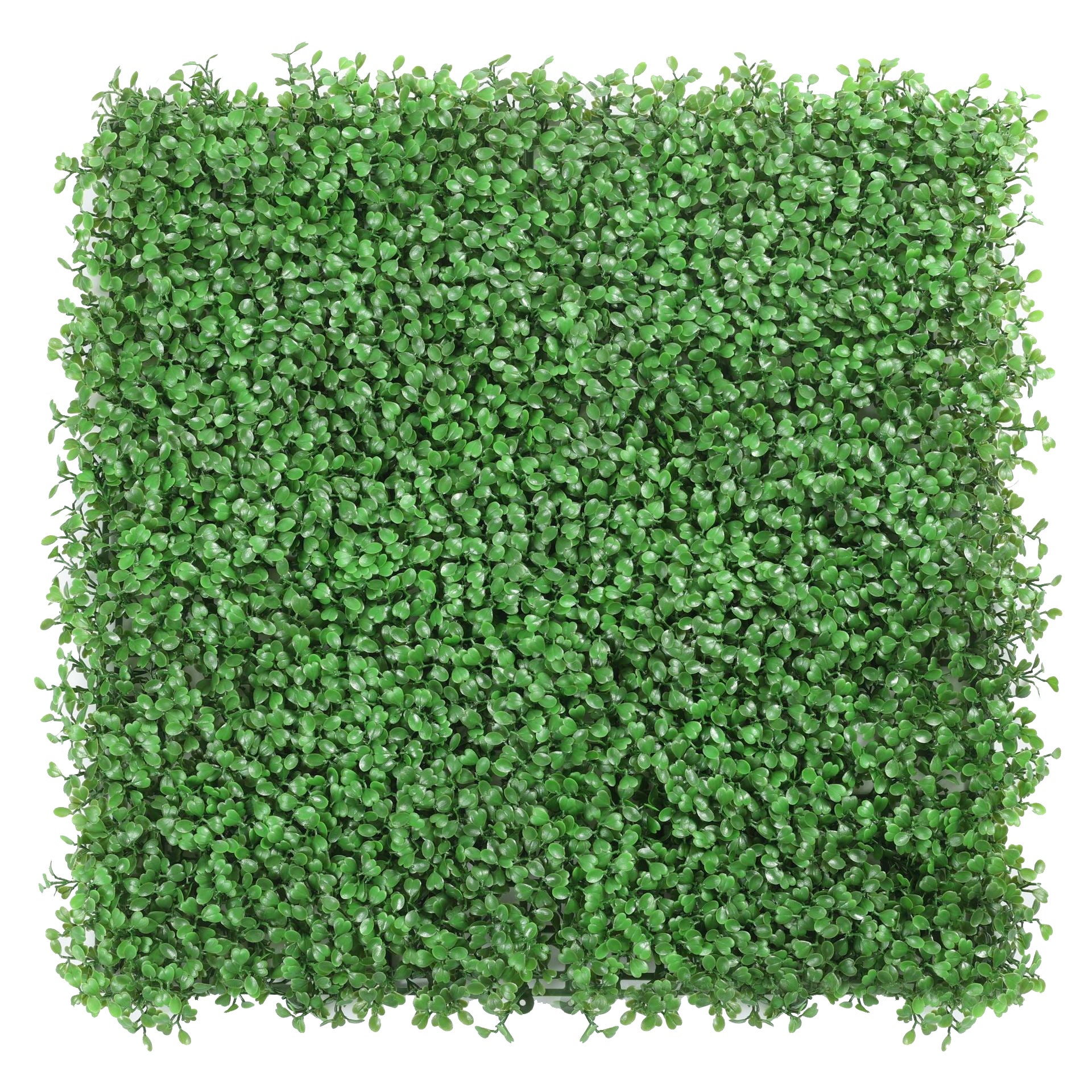 Sztuczny żywopłot 50 cm x 50 cm, ochrona i prywatność dla ogrodu, tło ścienne z syntetycznej trawy, ochrona UV (1 sztuka)