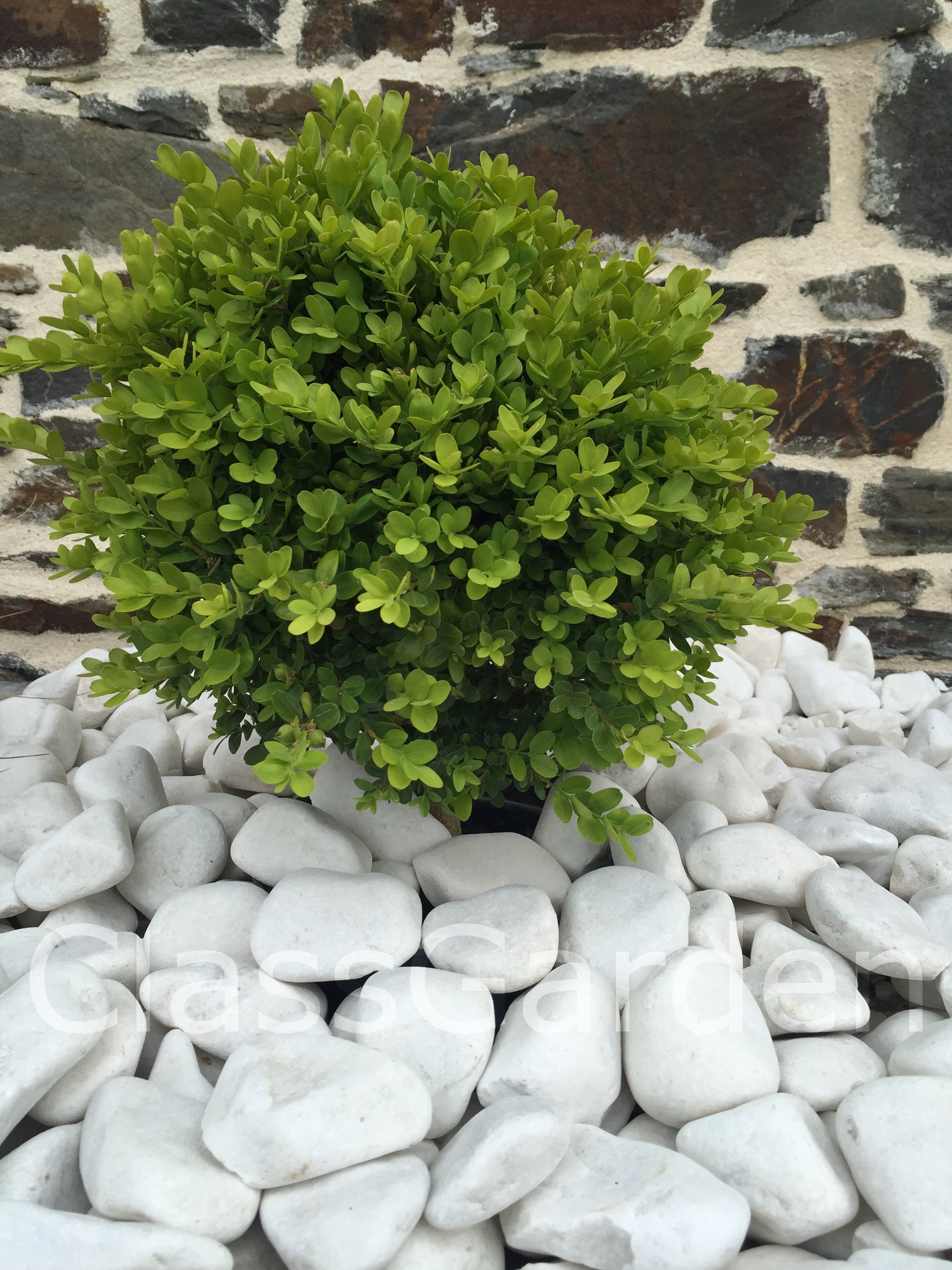 Galet Blanc Brillant 40-60 sac 20 Kg Leroy Merlin