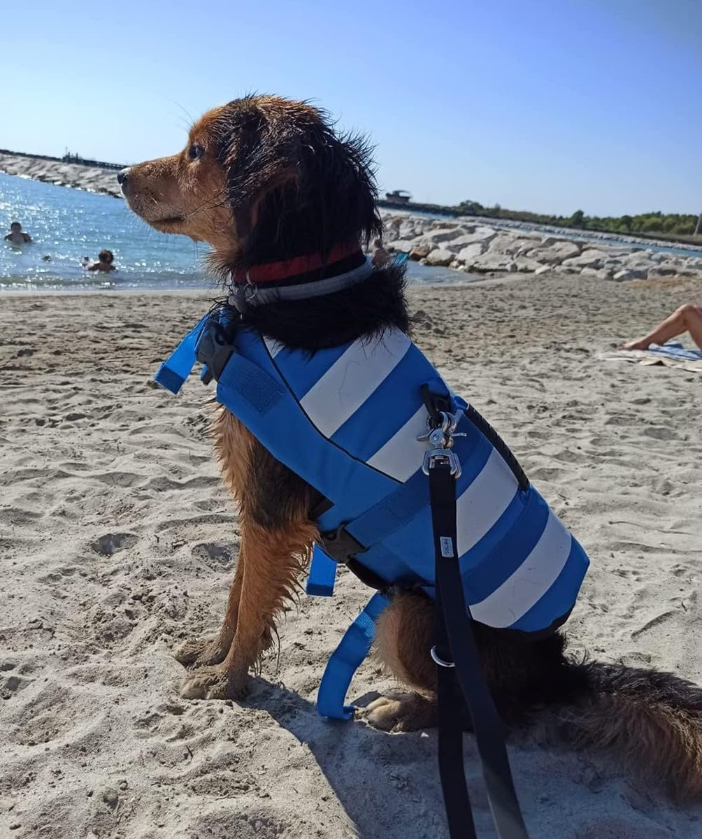 Colete salva-vidas para cães, ajustável, com alça macia, boa flutuabilidade no mar ou lago (azul, tamanho G) - 4