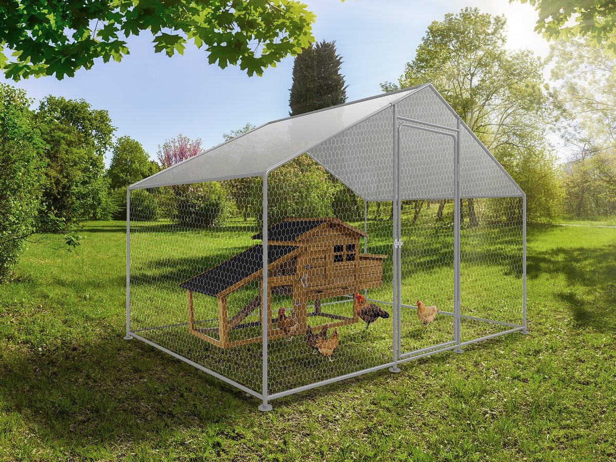 Recinto para frangos Recinto de malha de 6 m² 2 x 3 x 2 M aço galvanizado - 2