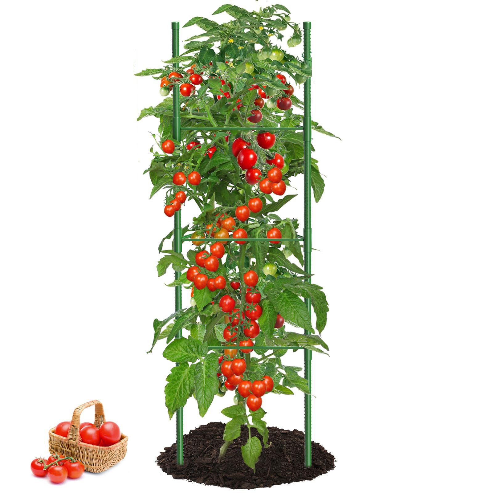 Set di 2 tralicci da giardino, gabbia per pomodori, supporto per piante alte, rampicanti, supporti per fiori, traliccio per cetrioli, gabbia piante | Leroy Merlin