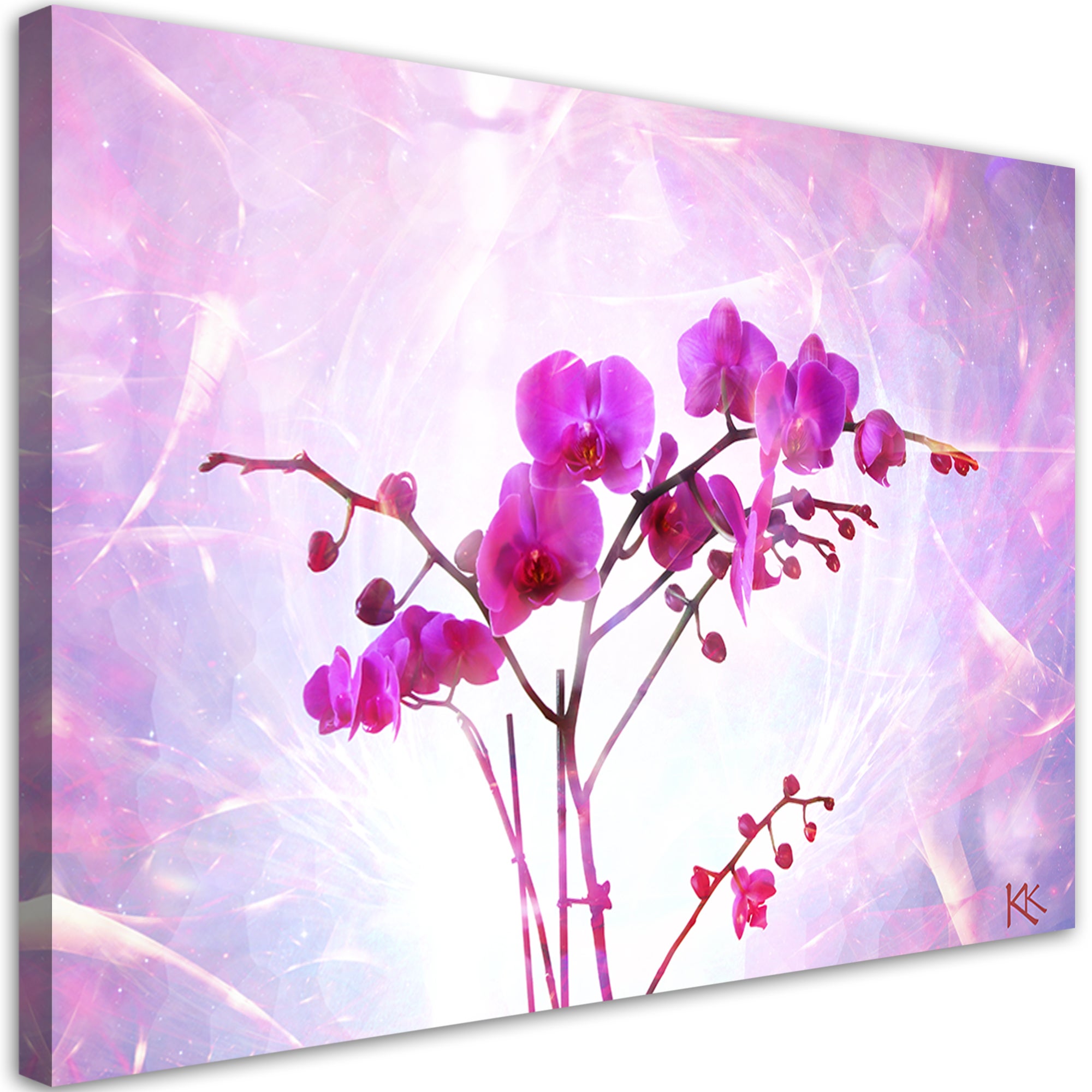 Obraz na płótnie, Eteryczna orchidea 60x40