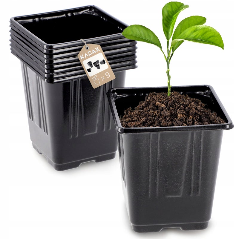 DONICZKA PRODUKCYJNA DONICZKI 10cm KWADRATOWA ROZSADY SADZONKI 9 szt