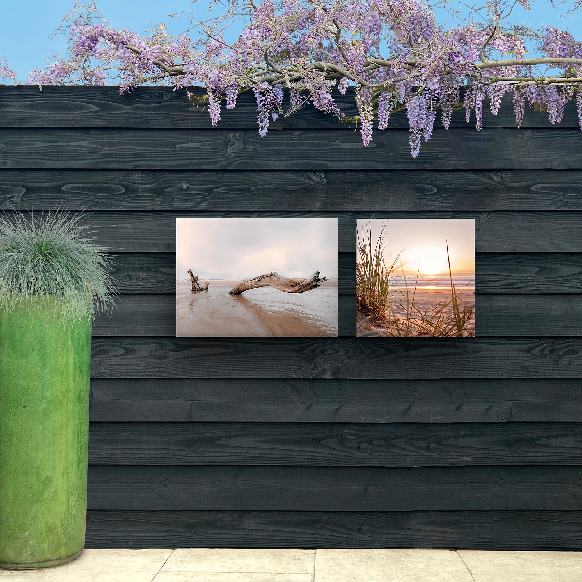 Poster de jardin Lever de soleil dans les dunes 50 x 50cm Multicolore - 6