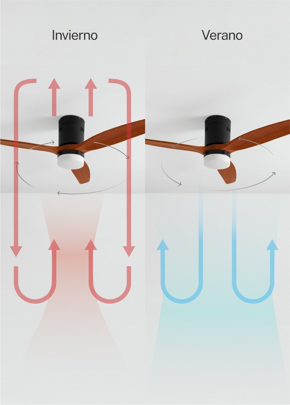WIND CALM M - Ventilador de teto silencioso de 40 W com pás técnicas em ABS de vários tamanhos - Com luz - sem wifi - 6