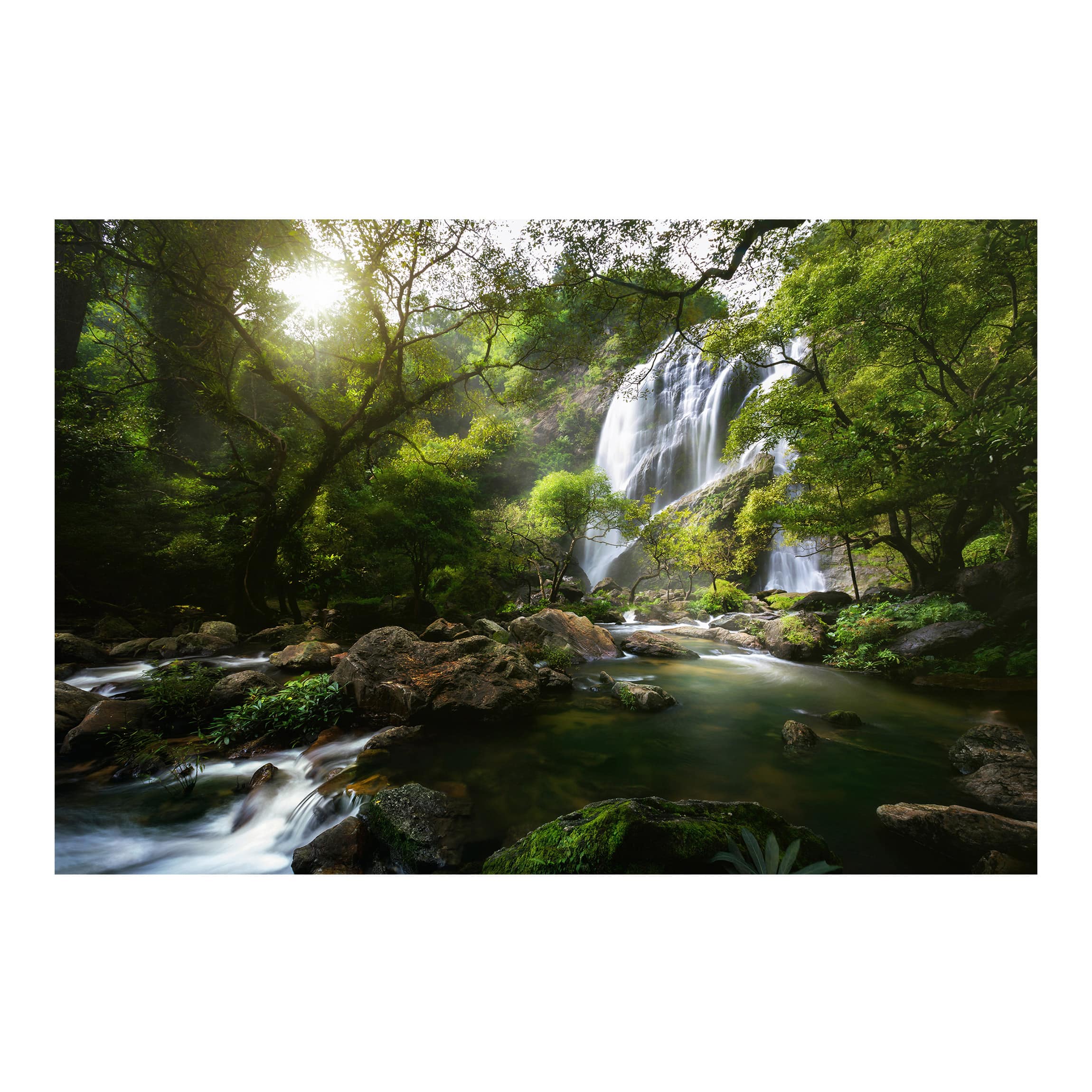 Papel pintado fotomural bosque naturaleza montaña 48 - salón dormitorio cocina pasillo - tnt 288 x 190 cm smart