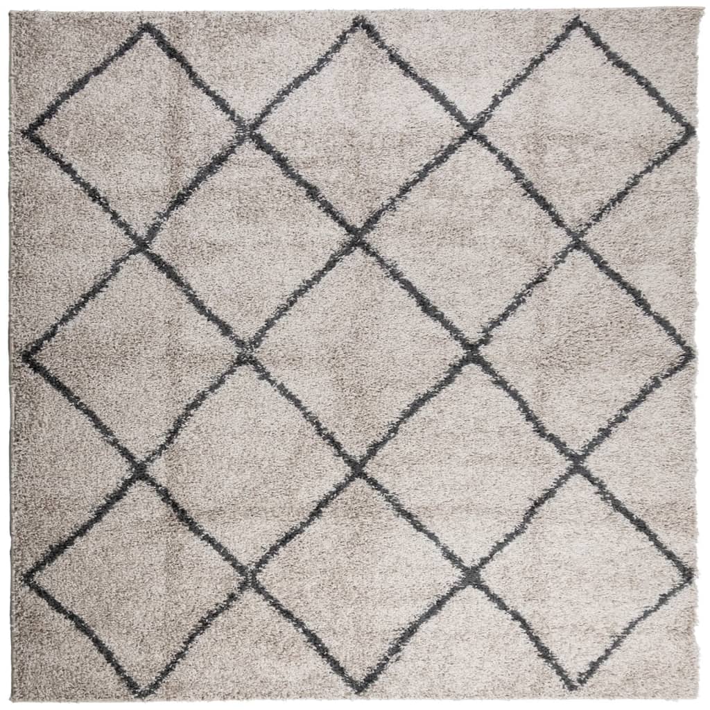 Alfombra de salón | alfombra de pelo largo moderna beige y antracita 120x120 cm cfw66138