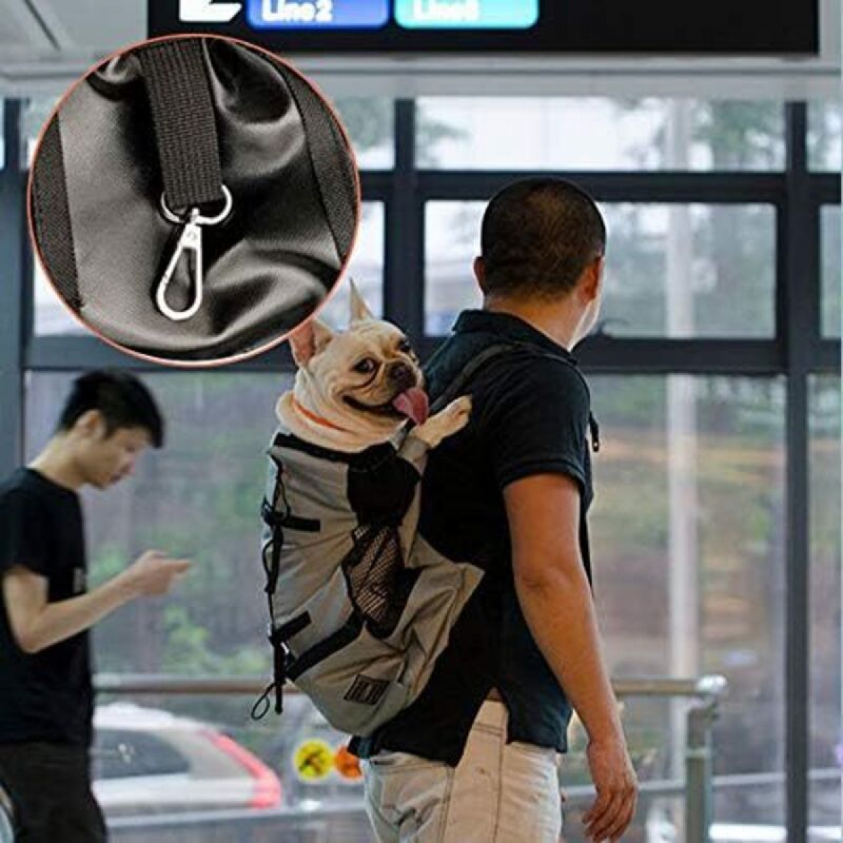 Bolsa de transporte ajustable para perro en malla transpirable para cachorros y perros de exterior Mochila viaje para senderismo ciclismo color negro - 5