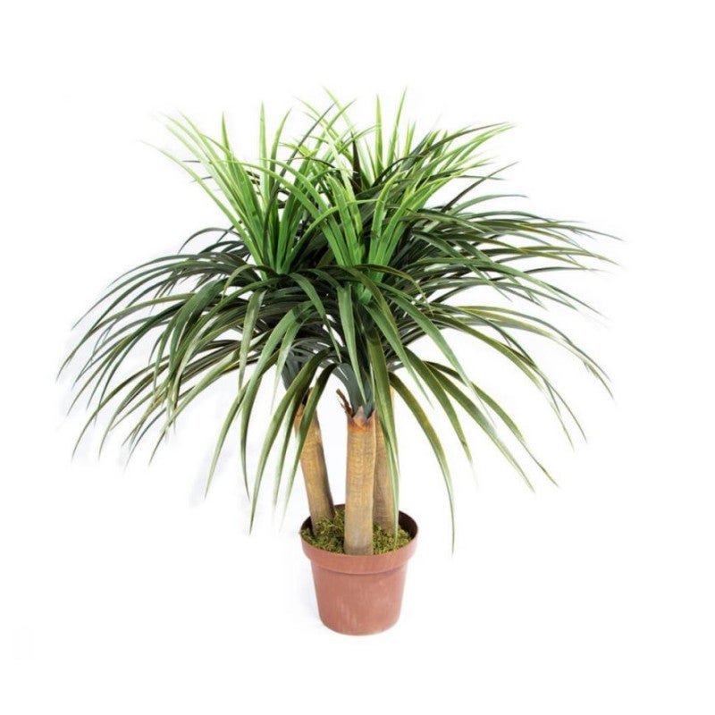 Plante Artificielle Nolina 75cm avec pot | Plantes en plastique pour la décoration de jardin intérieur et extérieur - 2