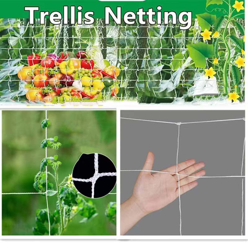 Filet d'escalade pour plantes 4x8 pieds, treillis de jardin essentiel pour la récolte des vignes, accessoires de Support pour plantes en croissance - 4