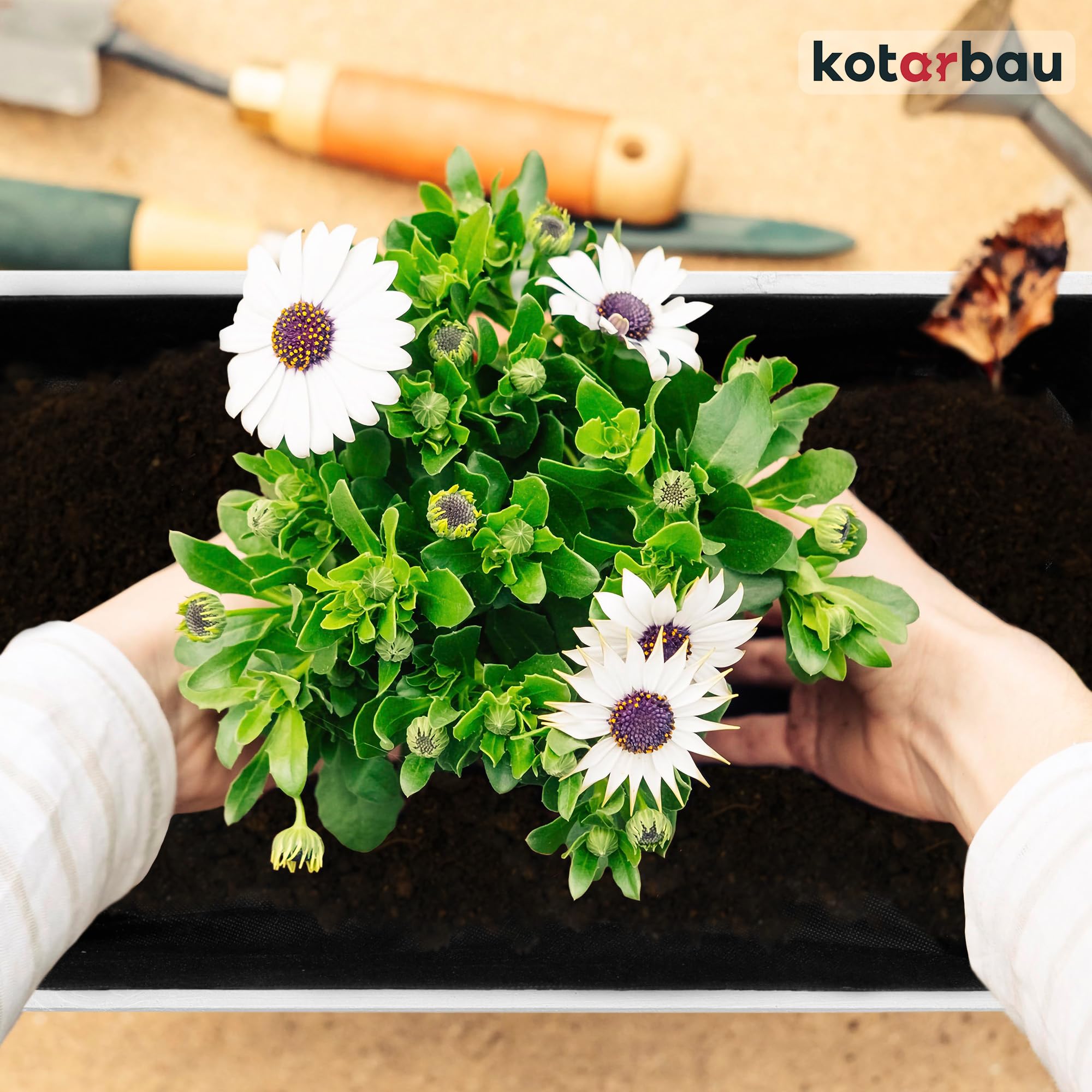 Pot de Fleurs en Bois 60 x 33 x 25 cm Jardinière en Pin Carbonisé Pot de Plantes Jardinière - Idéal pour Jardin Terrasse Balcon - Blanc - KOTARBAU - 3