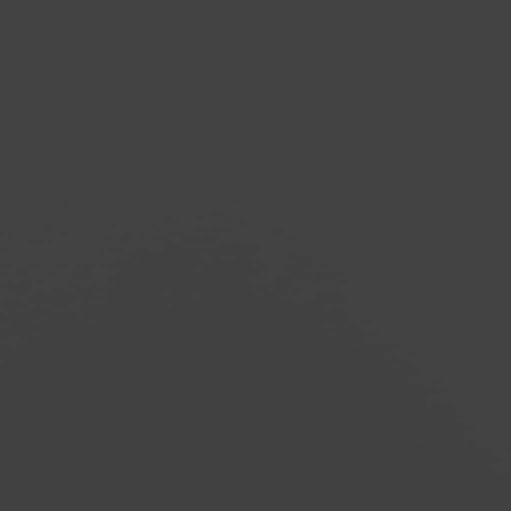 Jardinière，Pot de Fleurs noir 200x40x80 cm acier laminé à froid CFW43670 - 8