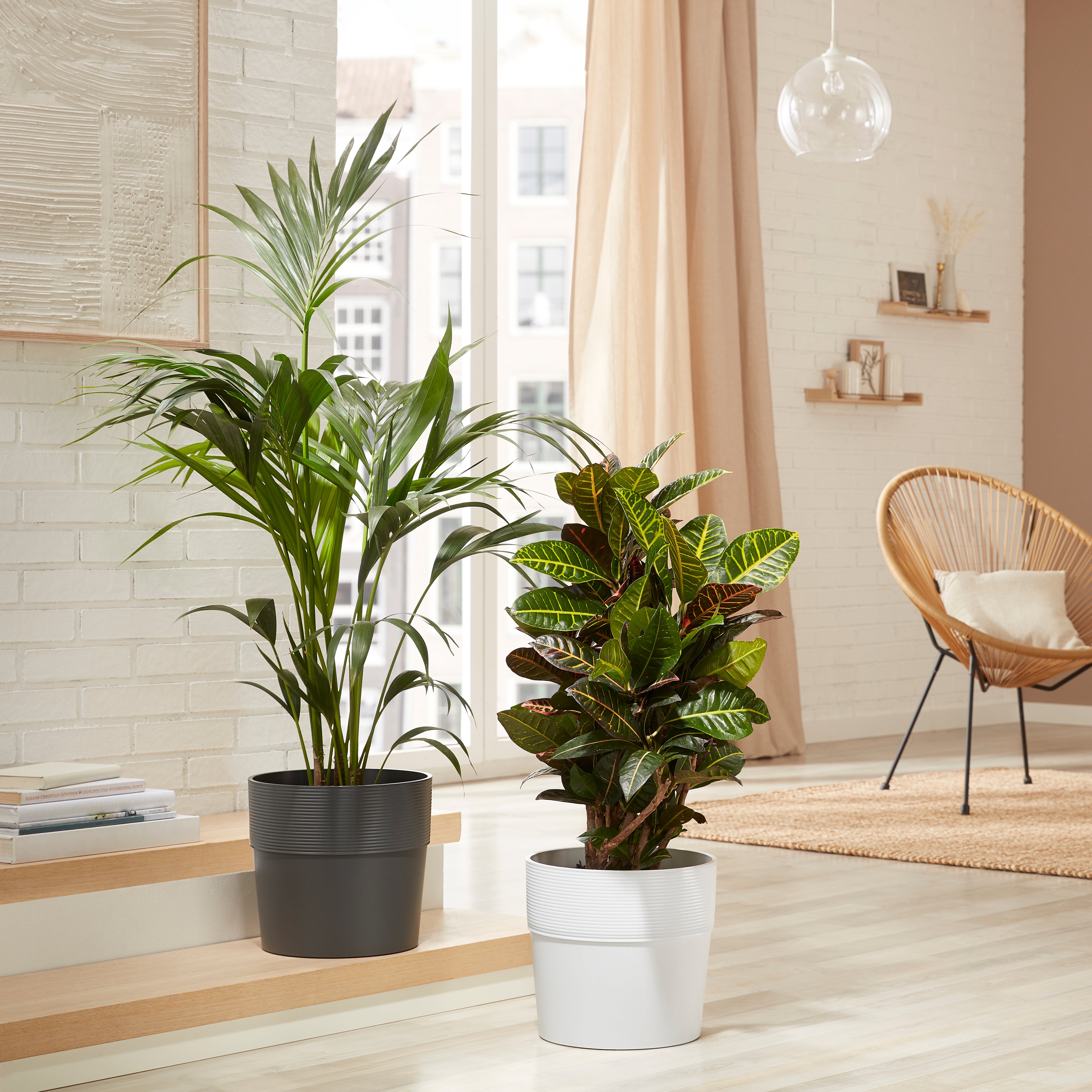 Scheurich Groove 25, pot de fleurs/plantes, rond, en plastique couleur: Nero, 24,5 cm de diamètre, 22,5 cm de hauteur, 7,7 l vol. - 2