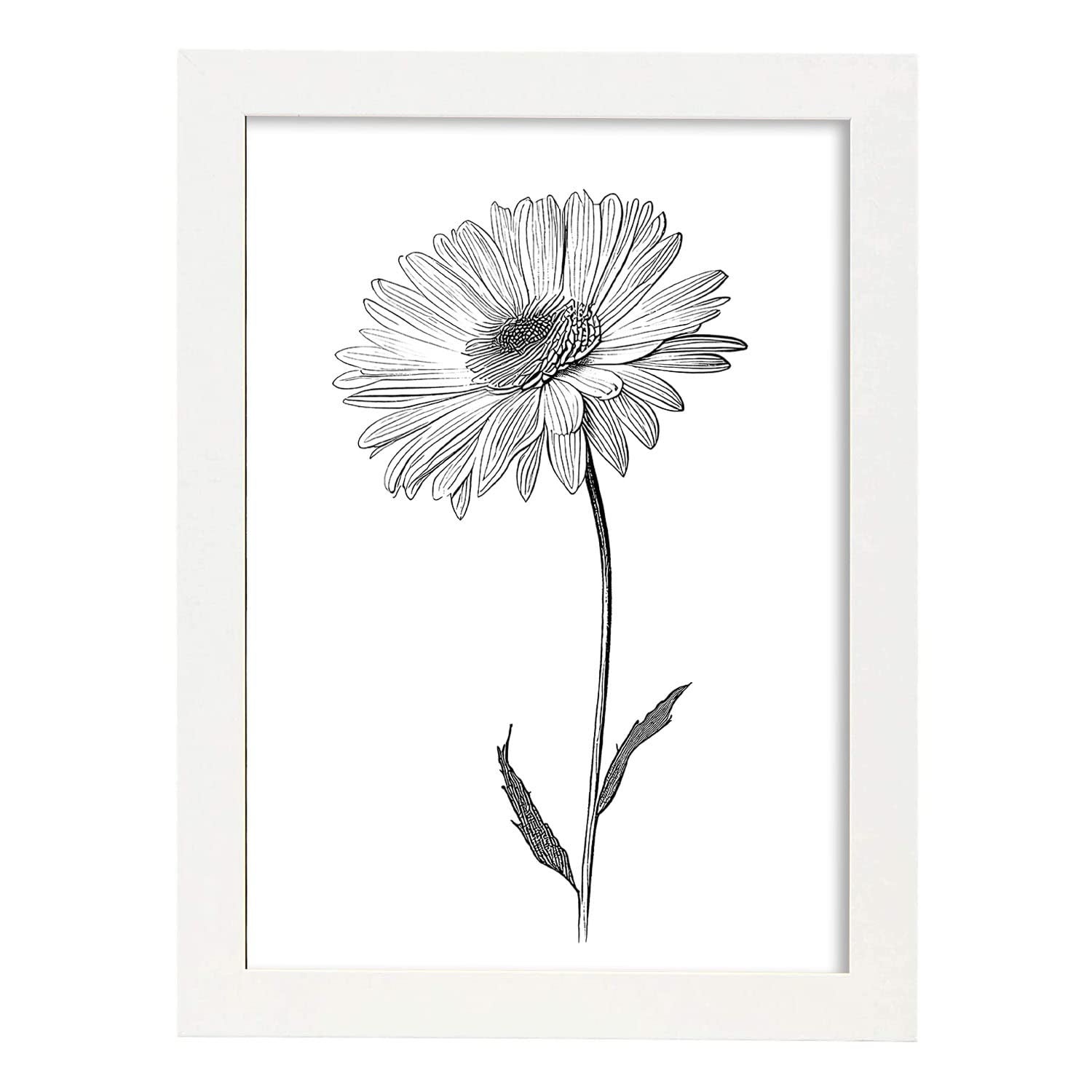 Nacnic poster de margarita estilo nórdico ilustraciones de botánica con flores y plantas en blanco y negro diseño y 1 a3 con marco blancos
